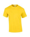 Gildan Ultra Cotton T-Shirt - Pistachio, XXL