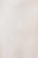 GINIA Lace Silk Lace Slip in Creme - 100% 19mm Silk Grade 6A 2XL / Creme