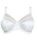 Goddess Keira Banded Underwire Bra - Fawn