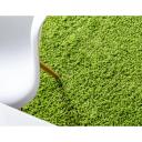 Grass Green Solid Shag Rug 5x8