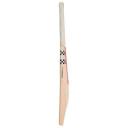 Gray-Nicolls Evo E Five English Willow Cricket Bat Size 3