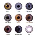Gray Violet Tri Tone Colored Natural Contact Lenses (30 Day)