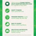 Greenies Dental Dog Treats Grain Free Value Pack Petite 1kg