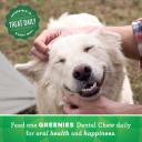 Greenies Dental Dog Treats Grain Free Value Pack Petite 1kg