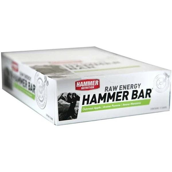 Hammer Nutrition Energy Bar - Apple Oatmeal