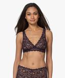 Hanro Moments Lace Soft Cup Bra Seasonal Colours 10C / Alexandrite