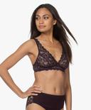 Hanro Moments Lace Soft Cup Bra Seasonal Colours 10C / Alexandrite
