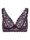 Hanro Moments Lace Soft Cup Bra Seasonal Colours 12C / Alexandrite