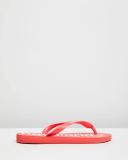 Havaianas Top Logo Mania Thong Ruby Red