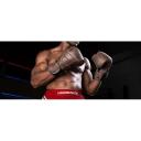 Hayabusa T3 Kanpeki Leather Boxing Gloves 12 oz