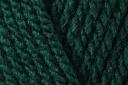 Hayfield Bonus Aran 100g - Bottle Green (839)