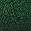 Hayfield Bonus DK 100g - 839 - Bottle Green