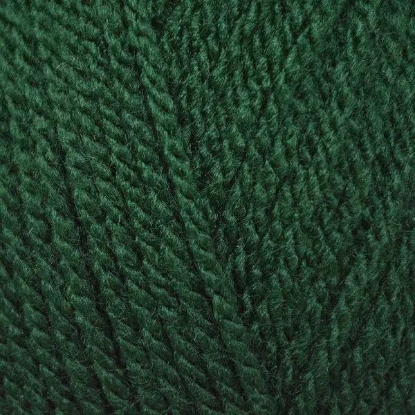 Hayfield Bonus DK 100g - 839 - Bottle Green