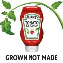 Heinz Tomato Ketchup (20 oz Bottles Pack of 6)