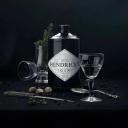 Hendrick's Gin 50ml Bottle