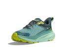 HOKA Women's Challenger 7 GORE-TEX Hiking Shoes in Trellis/Balsam Green, Size 3.5