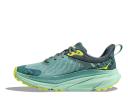HOKA Women's Challenger 7 GORE-TEX Hiking Shoes in Trellis/Balsam Green, Size 3.5