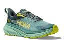 HOKA Women's Challenger 7 GORE-TEX Hiking Shoes in Trellis/Balsam Green, Size 3.5