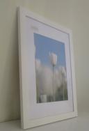 Homeworth Photo Frames (without Mat Border), White / Black / Timber B2: 50x70.7 cm / Timber