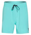 Hurley Men's Board Short Aura Green One & Only Volley Logo Board Shorts S