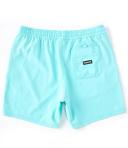 Hurley Men's Casual Short Particle One and Only Volley Shorts L
