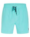 Hurley Men's Casual Short Particle One and Only Volley Shorts L