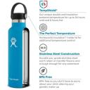 Hydro Flask 18oz / 532ml Standard Mouth Bottle - Spearmint
