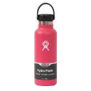 Hydro Flask 18oz / 532ml Standard Mouth Bottle - Spearmint