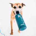 Hydro Flask 18oz / 532ml Standard Mouth Bottle - Spearmint