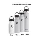 Hydro Flask 18oz / 532ml Standard Mouth Bottle - Spearmint