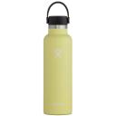 Hydro Flask 21oz Standard Mouth Alpine