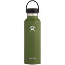 Hydro Flask Hydration 21oz Standard Mouth Insulated Water Bottle - Olive | Surf Accessories