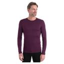 Icebreaker 200 Oasis Crewe Merino Long Sleeve Base Layer Purple M Man
