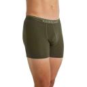 Icebreaker Anatomica Boxers (Men's) Green Glory/Astrol blue/stripe / L