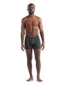 Icebreaker Anatomica Boxers (Men's) Green Glory/Astrol blue/stripe / L