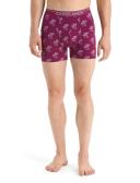 Icebreaker Anatomica Boxers (Men's) Green Glory/Astrol blue/stripe / L