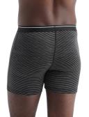 Icebreaker Anatomica Boxers (Men's) Green Glory/Astrol blue/stripe / L