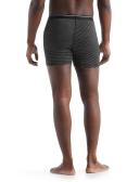 Icebreaker Anatomica Boxers (Men's) Green Glory/Astrol blue/stripe / L