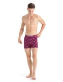 Icebreaker Anatomica Boxers (Men's) Green Glory/Astrol blue/stripe / L