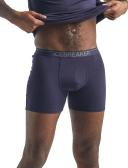 Icebreaker Anatomica Boxers (Men's) Green Glory/Astrol blue/stripe / L