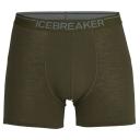 Icebreaker Anatomica Boxers (Men's) Green Glory/Astrol blue/stripe / M