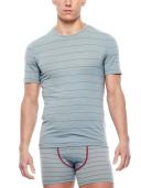 Icebreaker Men's Anatomica SS Crewe-Snow-XL