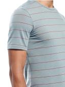 Icebreaker Men's Anatomica SS Crewe-Snow-XL