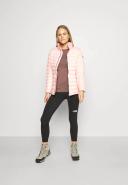 Icebreaker Women's 200 Oasis LS Crewe, Mink / XS
