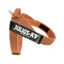 IDC Color&Gray Belt Harness - Black Size:Mini