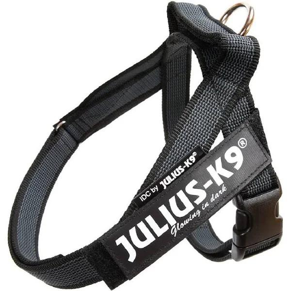 IDC Color&Gray Belt Harness - Black Size:Mini