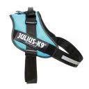 IDC Harness Aquamarine T-4 Julius K9
