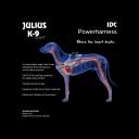 IDC Power Harness Dark Pink Fuchsia Baby1 Julius K9