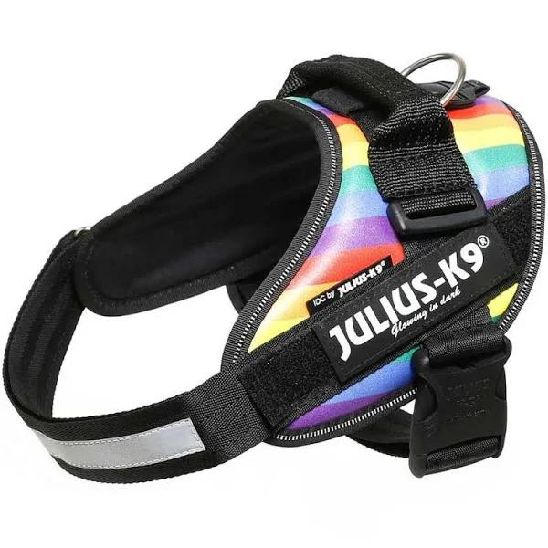 IDC Power Harness Rainbow T-4 Julius K9
