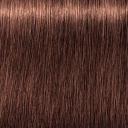 Igora Royal 7-57 Medium Blonde Gold Copper - Schwarzkopf Color - 2.10oz